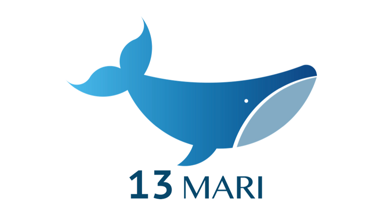 The 13 Mari logo, a blue whale.