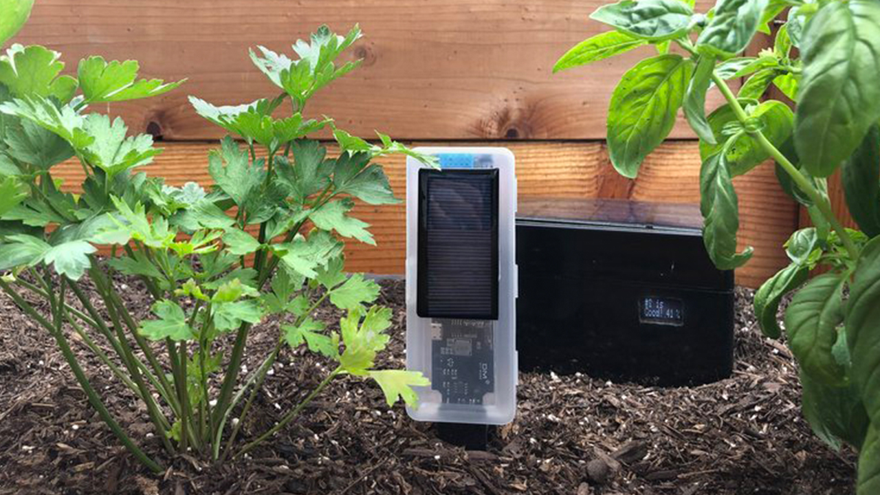 SEED's soil sensor device in a garden.
