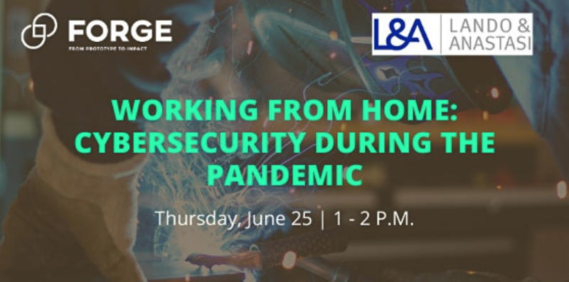 splash banner: working from home: cybersecurity during the pandemic