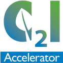 C2I logo