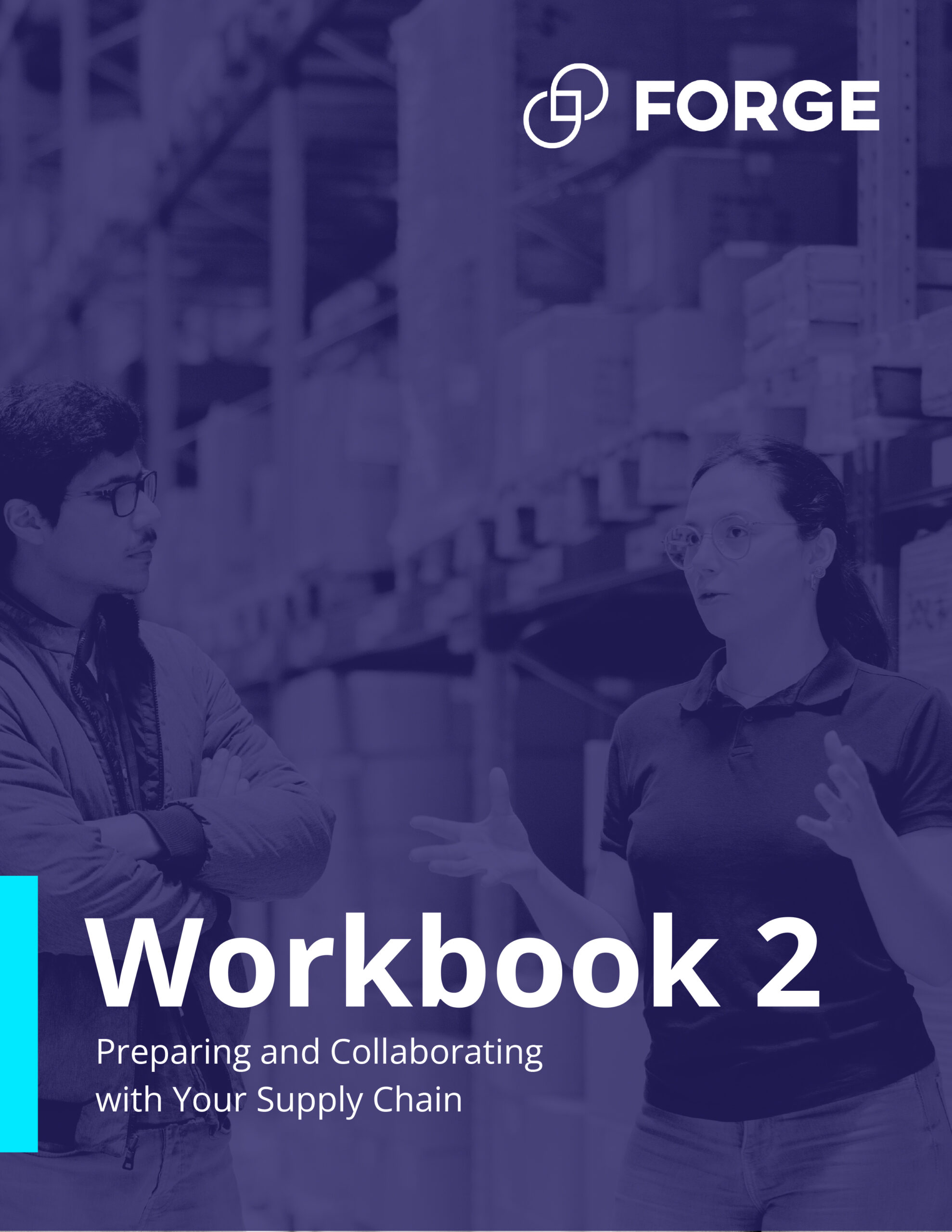 FORGE Workbook 2 Supplier 