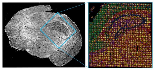 Laboratory image examples of epigenomic mapping using AtlasXomics' hardtech medtech product, the FlowGel platform